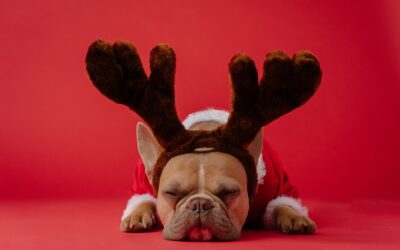 8 Ways to Overcome the Holiday Blues