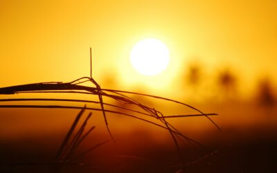 Can Summer Heat Threaten Your Recovery?