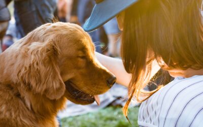 How a Service Animal Can Help You Navigate Mental Health Obstacles