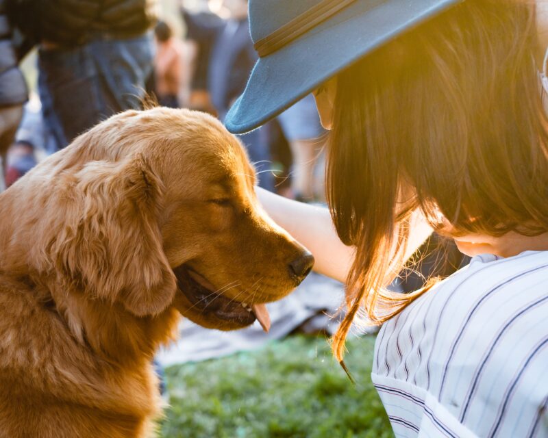 How a Service Animal Can Help You Navigate Mental Health Obstacles