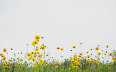 How to Move Beyond Healing to Hope