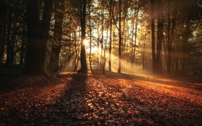 How to Stay Focused on Your Recovery This Fall