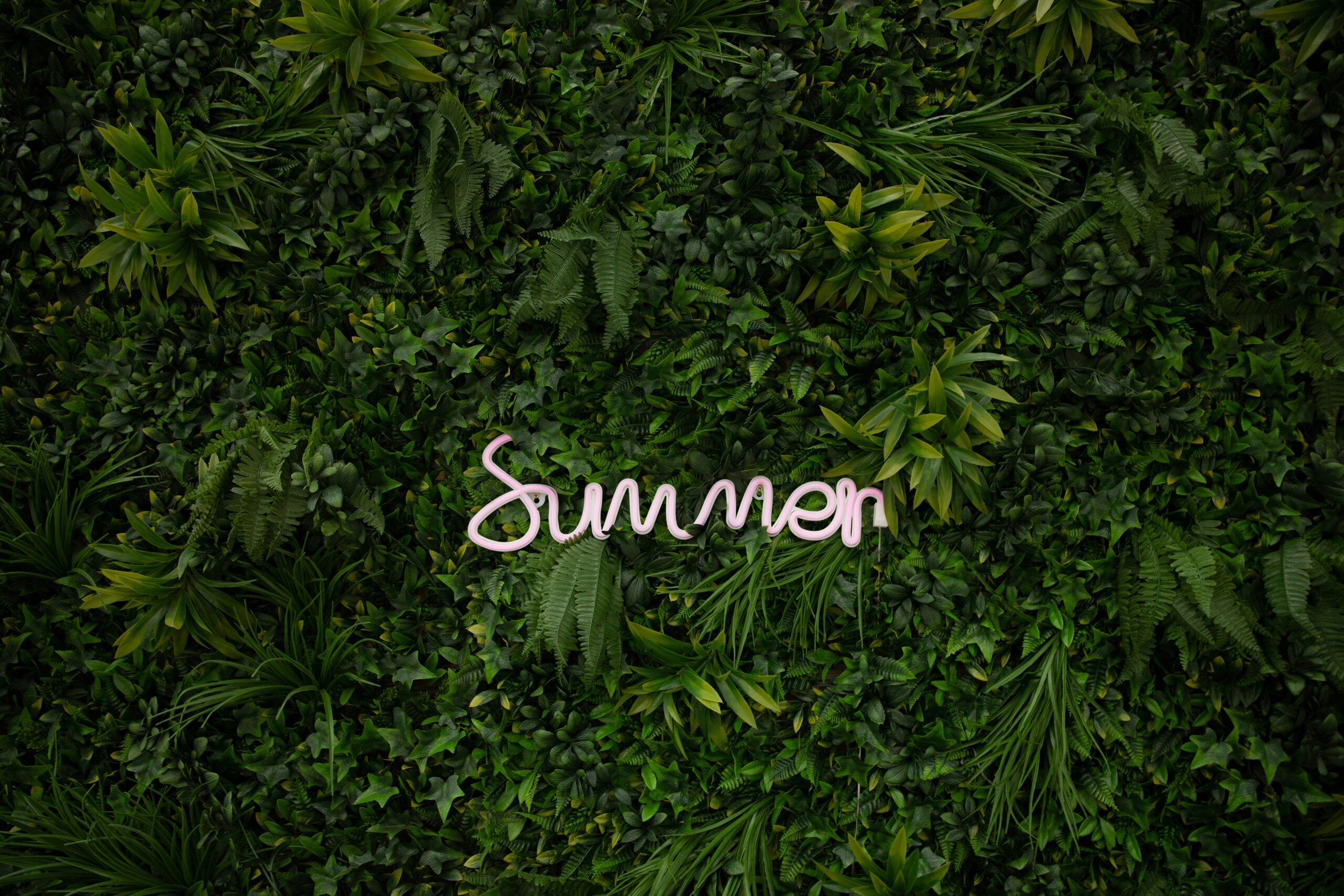 How to Stay Mentally Strong This Summer