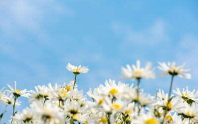 Mental Health Awareness Month 2025: Turning Awareness into Action