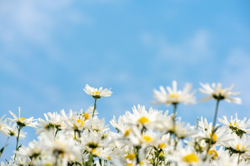 Mental Health Awareness Month 2025-Turning Awareness into Action