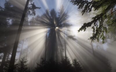 Taking Charge of Depression: Treatment Options in West Palm Beach