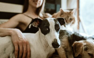 The Healing Power of Pets 