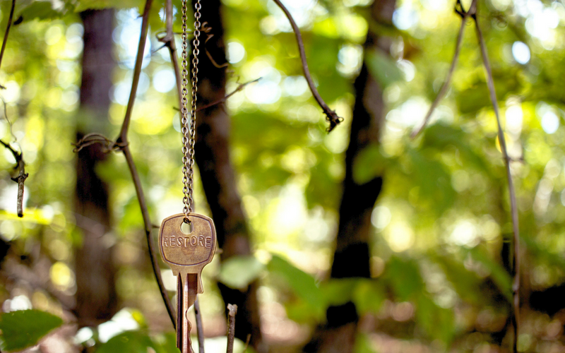 A key with the word "restore" is hung from a branch in a tree