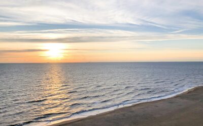 Why PTSD Recovery Needs More Than Just Talk Therapy