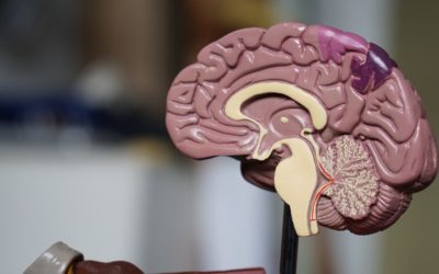 What’s Behind the Disease of Addiction?