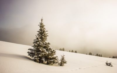 Why Spending the Holidays Alone May Just Be the Gift You Need