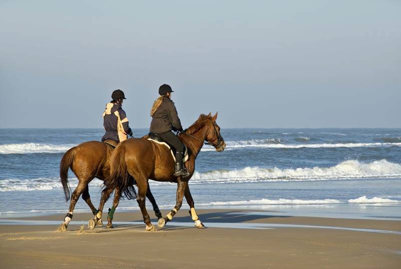 Equine therapy for addiction treatment