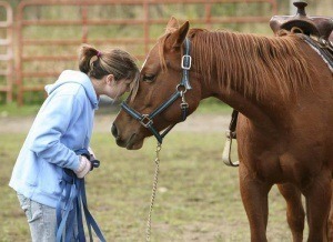equine therapy for rehab