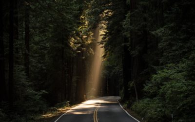 What Will Mental Health Treatment Look Like in Years to Come?