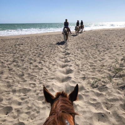 Beachside Rehab Florida Recreation Therapy (1)