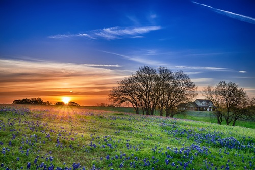 beautiful landscape at plano rehabilitation facility