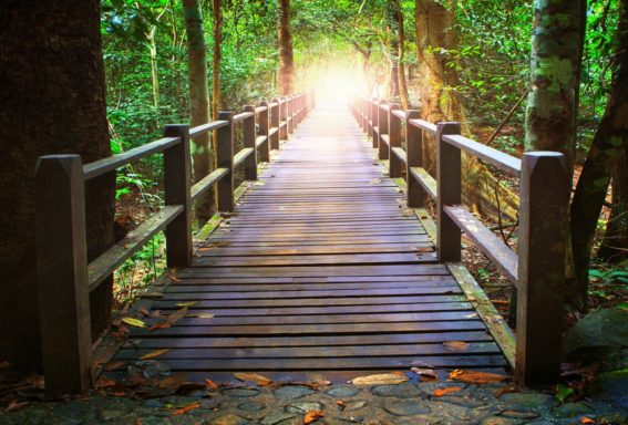 the journey of detoxing from drugs the journey of detoxing from drugs