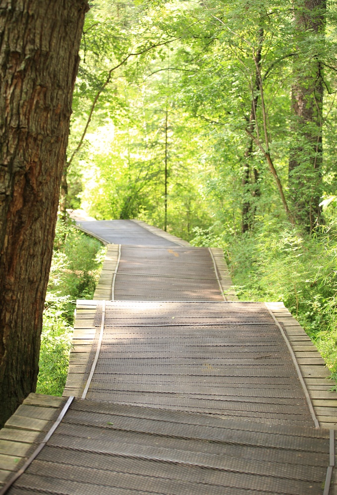 the road ahead during prescription drug treatment the road ahead during prescription drug treatment